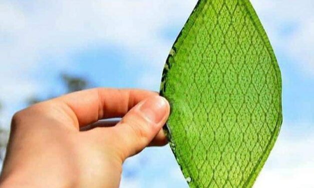 Hoja biológica creada por el hombre