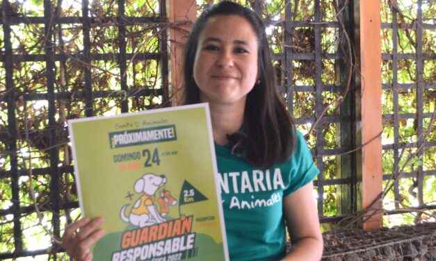 Guardianes: por una cultura de tenencia responsable