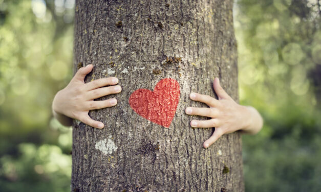 Amor Verde